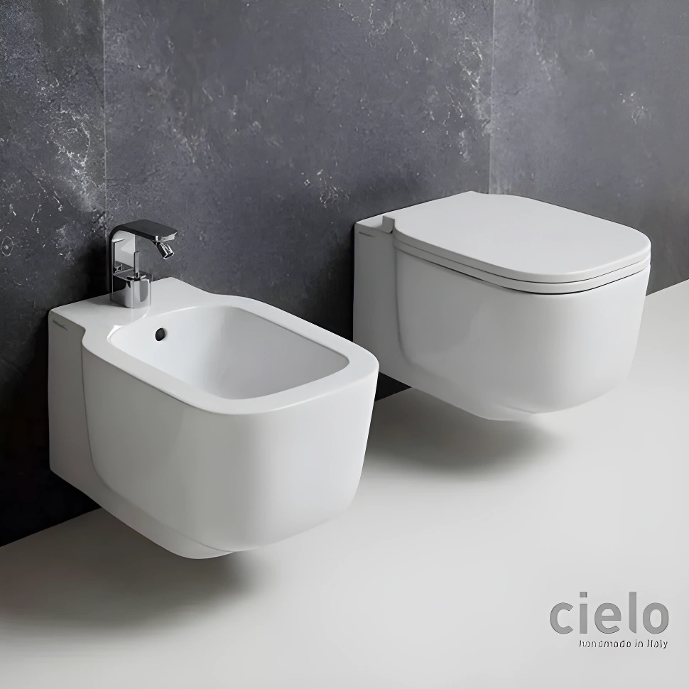 Wall Hung Wc
