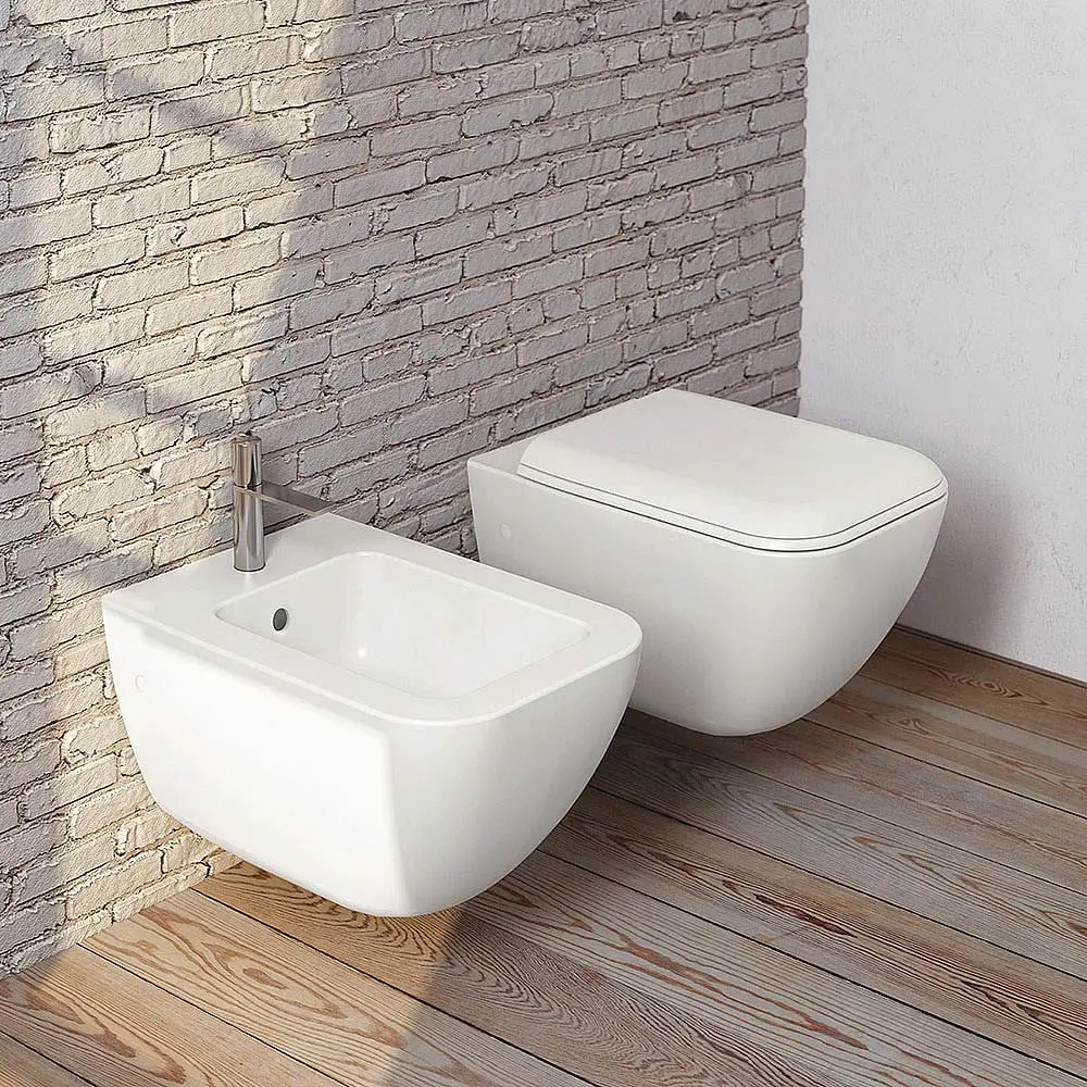 Wall Hung Wc